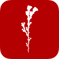 FractalScapes logo